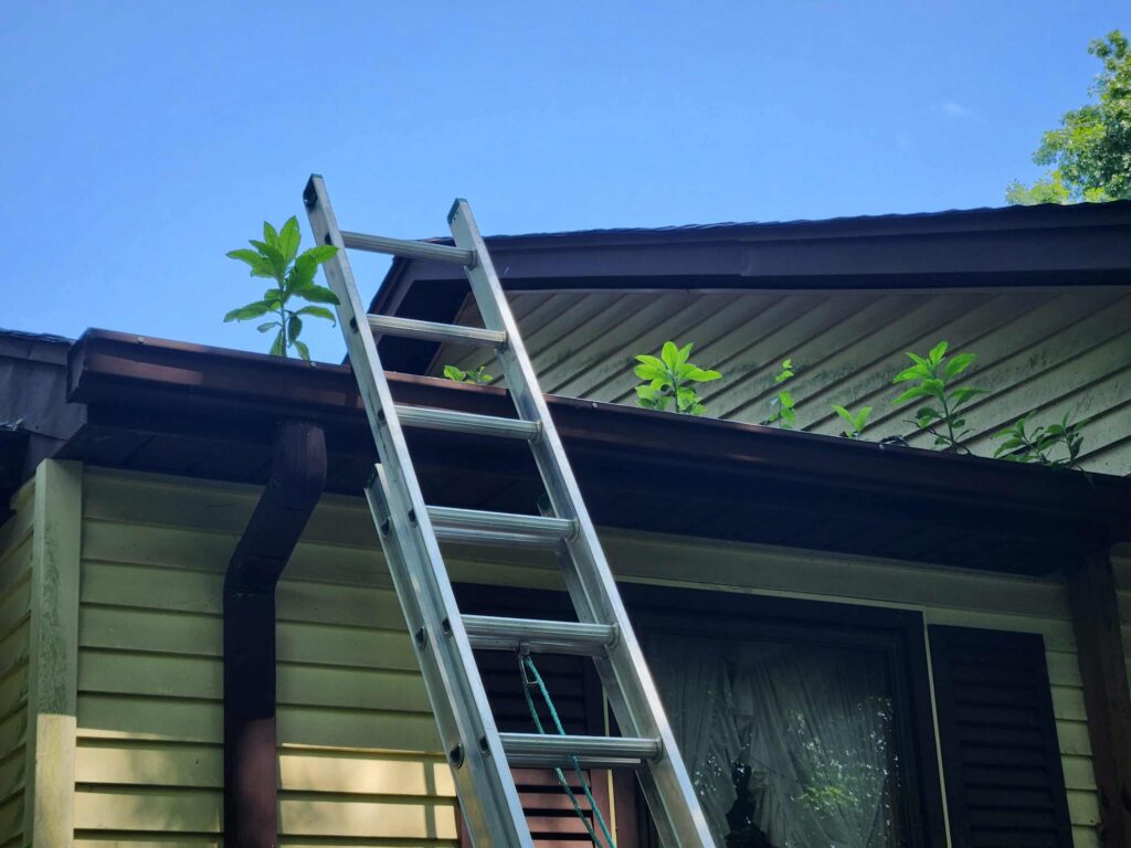 gutter cleaning in Franklin TN